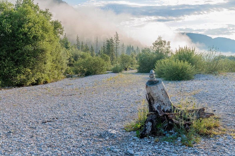 Three stones are stacked on top of each other on a tree stump. Isar valley nature conservancy area. The wild Isar river flows through its gravel bed past driftwood and entrained trees and bushes . Sunrise with some fog. Bavaria, Germany