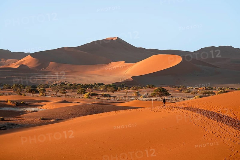 Red sand dunes, Sossusvlei region, Namib Desert, Namib-Naukluft National Park, Namibia