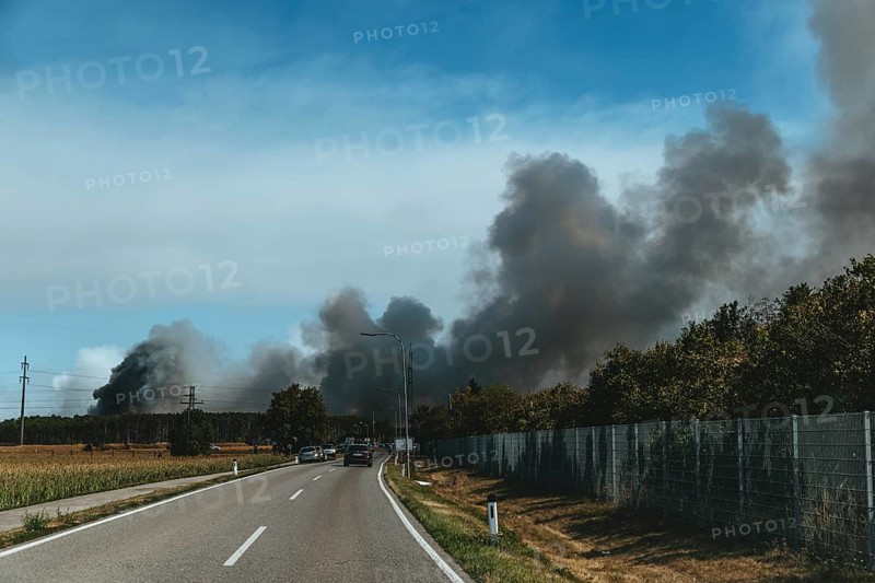 Forest fire in the Föhrenwald on August 14, 2026, Lower Austria, Austria