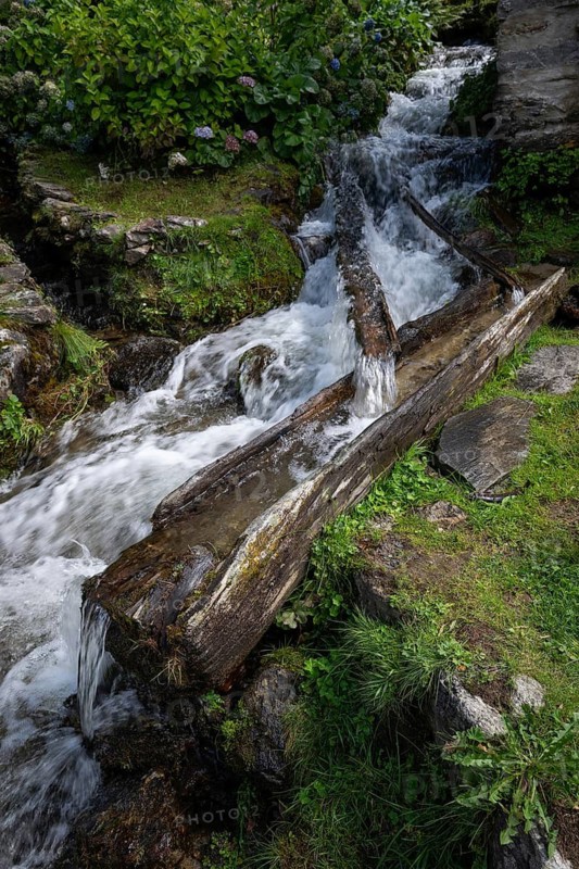 A small stream feeds a water basin in a hollowed tree trunk, long exposure, Mogno, Maggia Valley, Valle Maggia, Canton of Tessin, Switzerland