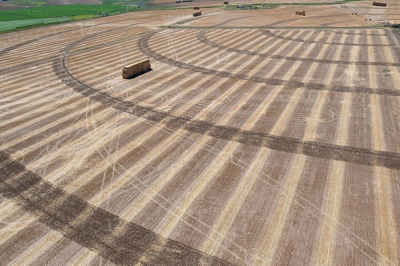 Loveland, Colorado - An aerial view of a hay field, after the harvest
