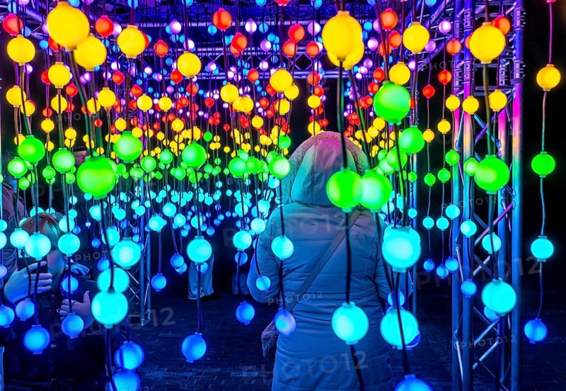 Park lights, winter event, in the Grugapark in Essen, many different light installations, across the park, attract many thousands of visitors, light work of art consisting of many hundreds of hanging ball lamps, LEDs, with changing colors, accessible, North Rhine-Westphalia, Germany