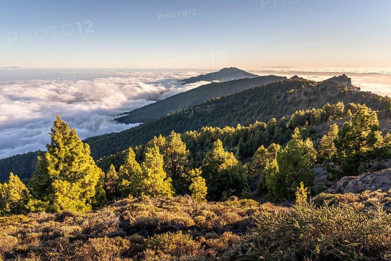 View of the south of the island on the way to Pico de La Nieve. Sea of fog in the valley. La Palma, Canary Islands, Spain