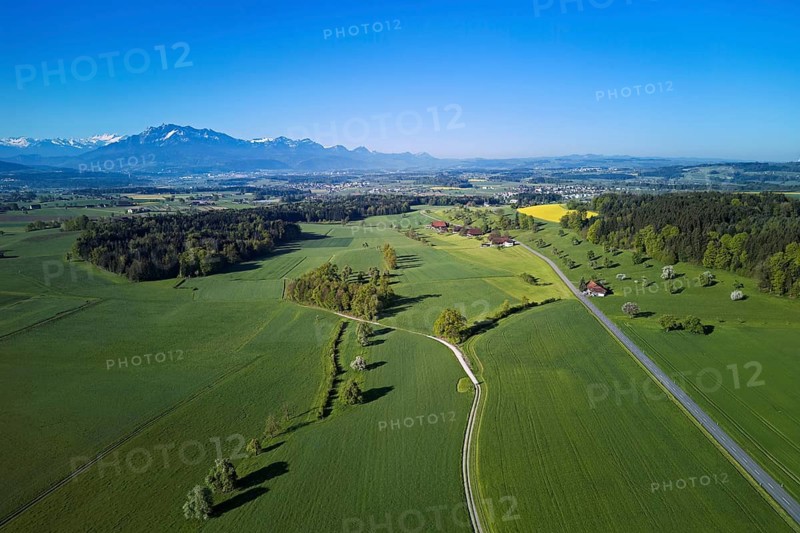 Blooming trees, fields and meadows, in the background the snow-covered Alps with Mount Pilatus, Abtwil, Freiamt, Aargau Canton, Switzerland