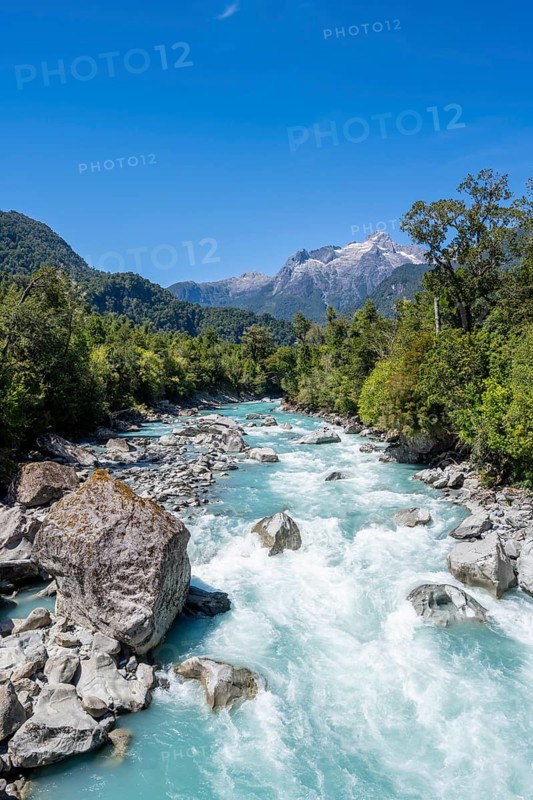 Turquoise blue Rio Blanco river flows through temperate rainforest, Valdivian or northern Patagonian rainforest, mountains behind, Ruta de los Parques, Hornopirén, Hualaihué, Los Lagos, Patagonia Verde, Chile
