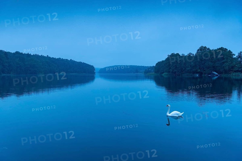 Dawn at blue hour at the lake, Schmalen Luzin, Feldberger Seenlandschaft, Mecklenburg-Western Pomerania, Germany