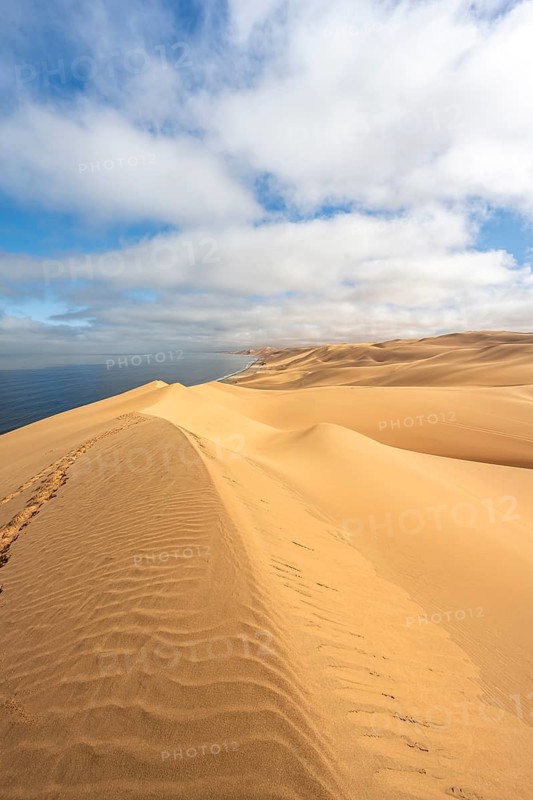 Sand dunes and sea, Atlantic coast and sandy desert with sea of dunes, Sandwich Harbour, Namib Naukluft Park, Namib Desert, Namibia