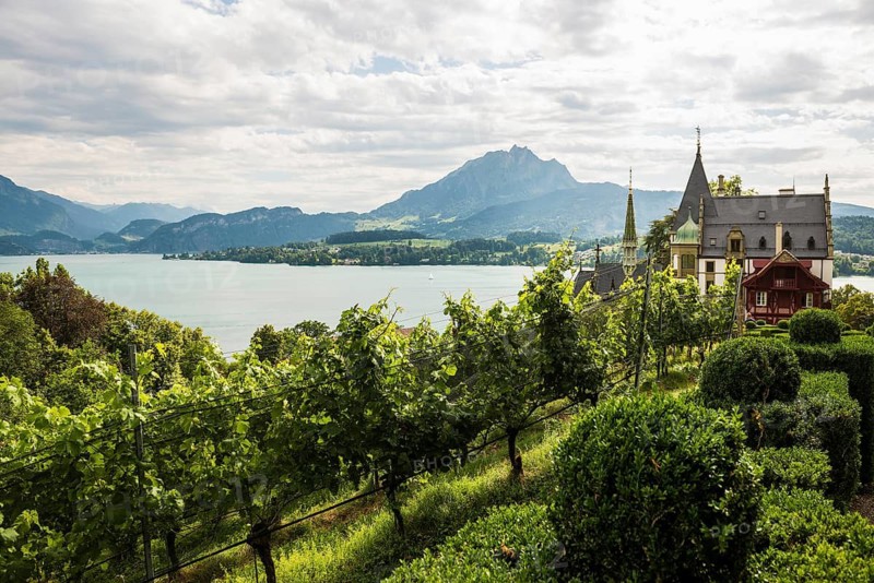 Picturesque castle with vineyard on a lake in the mountains, Meggenhorn Castle, Meggen, Lake Lucerne, Canton of Lucerne, Switzerland