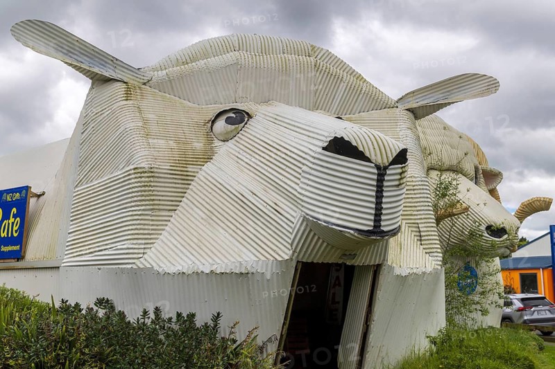 The corrugated iron sculptures were made by artist Steven Clothier consist of a trio of a giant metal ewe, ram and sheepdog in the rural town of Tirau, New Zealand