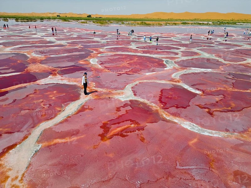 Aerial view of Ulan Lake, Red Lake, caused by microorganisms and algae such as Dunaliella salina, which produce the pigment beta-carotene to protect themselves from strong UV radiation, people standing on the partially dried-up salt lake Ulan Lake in the Tengger Desert, part of the Gobi Desert known as the ‘Red Heart of the Earth', Inner Mongolia, China