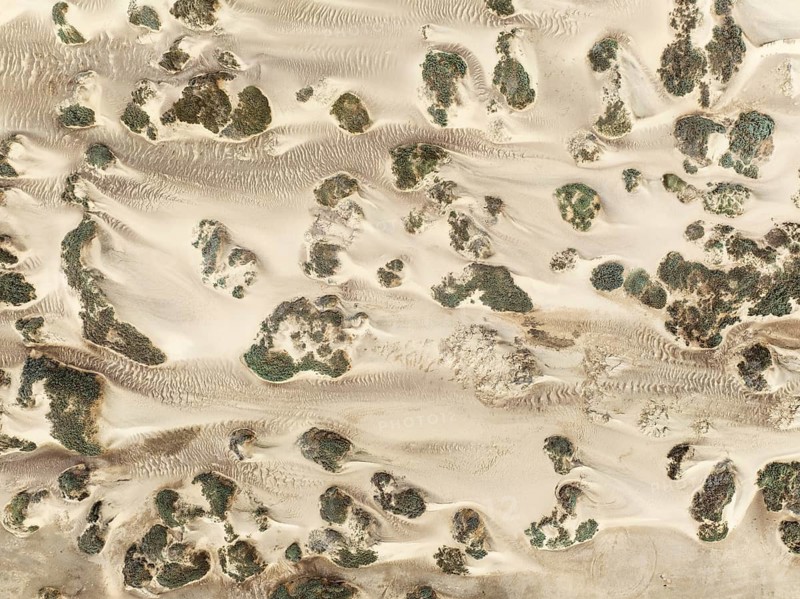 Sand hummocks caused by dwarf shrubs. Aerial view. Drone shot. Namib Desert, Skeleton Coast, Namibia