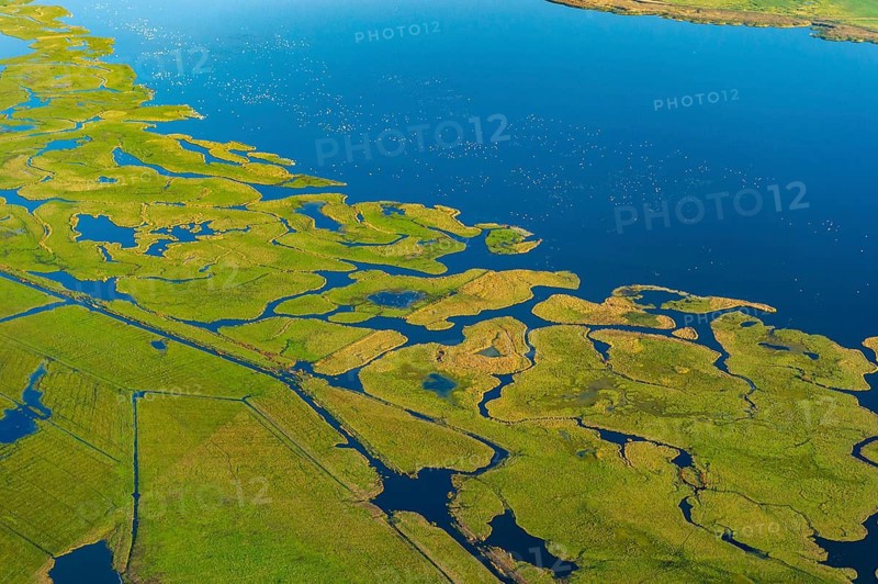 Aerial view of the landscape on the Großer Kirr in the Vorpommersche Boddenlandschaft National Park, Zingst, Mecklenburg-Western Pomerania, Germany