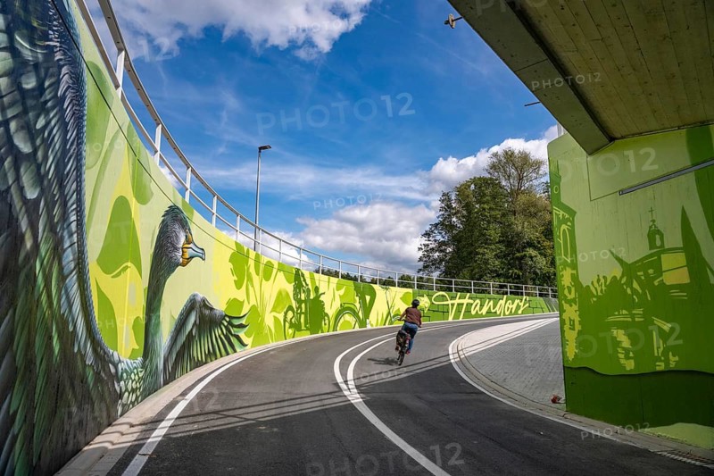 New bicycle tunnel at the junction of the B51 and Warendorfer Straße, in Münster, a bicycle and pedestrian tunnel, 150 metres long, 5.50 metres wide, crosses under the busy roads so that cyclists and pedestrians can pass without crossing, route to and from Münster city centre, visually designed with local motifs as murals, by Lackaffen.de, modern bicycle infrastructure, North Rhine-Westphalia, Germany