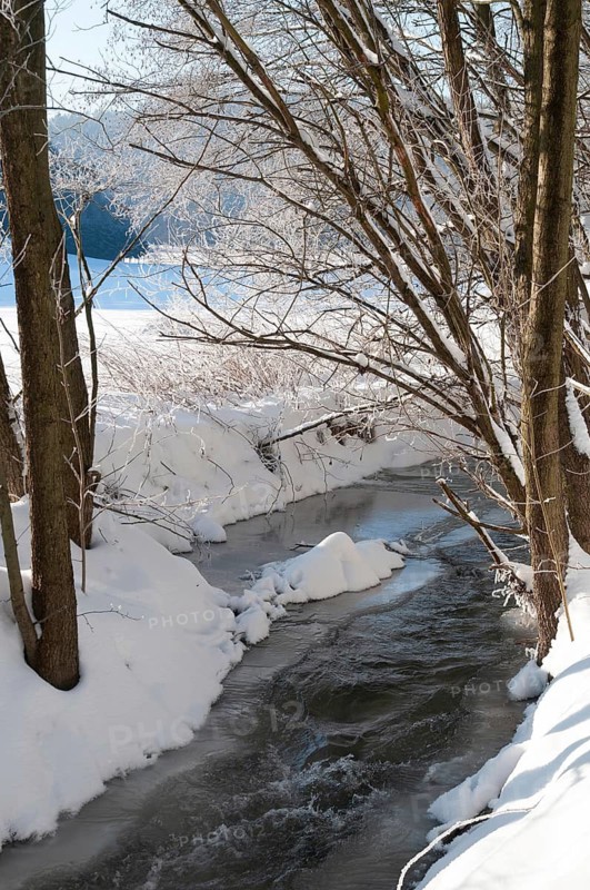 Greiz, Thuringia, Triebitzbach, Bach, Brook, ice, rivers, high size, vertical format, ice, landscape, snow, Vogtland, winter