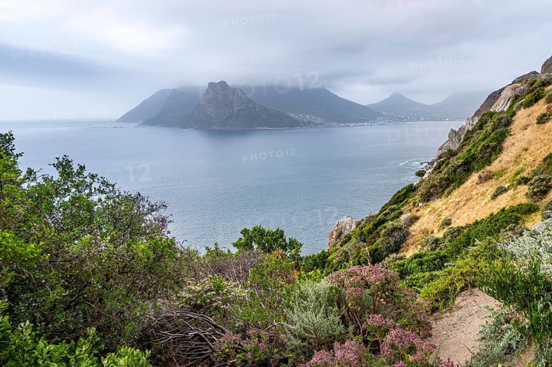 Hout Bay and Chapman's Peak Drive, coast near Cape Town, South Africa