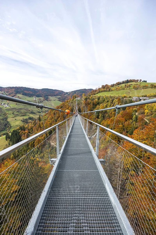 Blackforestline suspension bridge at Todtnau Waterfall in the Black Forest in autumn in Todtnau, Germany