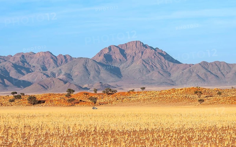 Dunes, landscape in the NamibRand Nature Reserve, in the back Naukluft Mountains, Namib Desert, Namibia