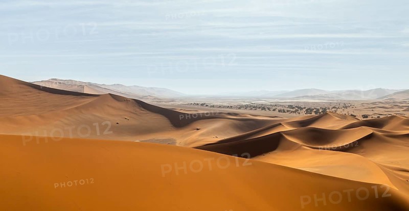 Aerial view of sand dunes in the Namib Desert, Namib Naukluft Park, Namibia
