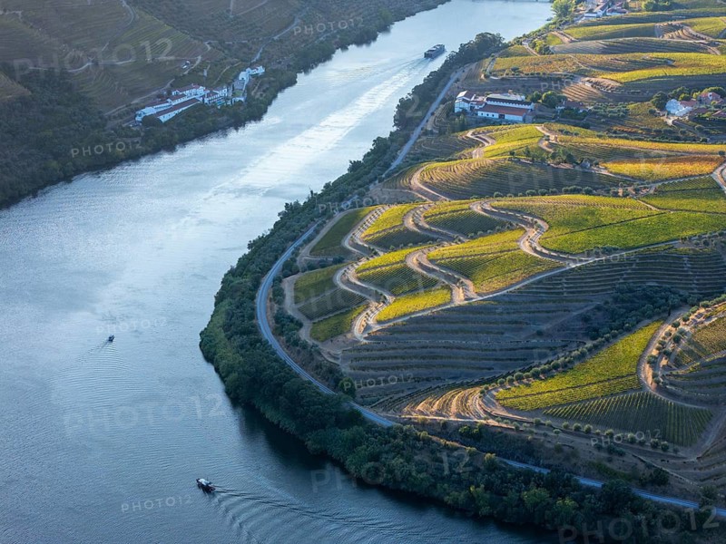 Aerial drone view of a tourist boat on the Douro River beside terraced vineyard hills in Douro Valley, Portugal
