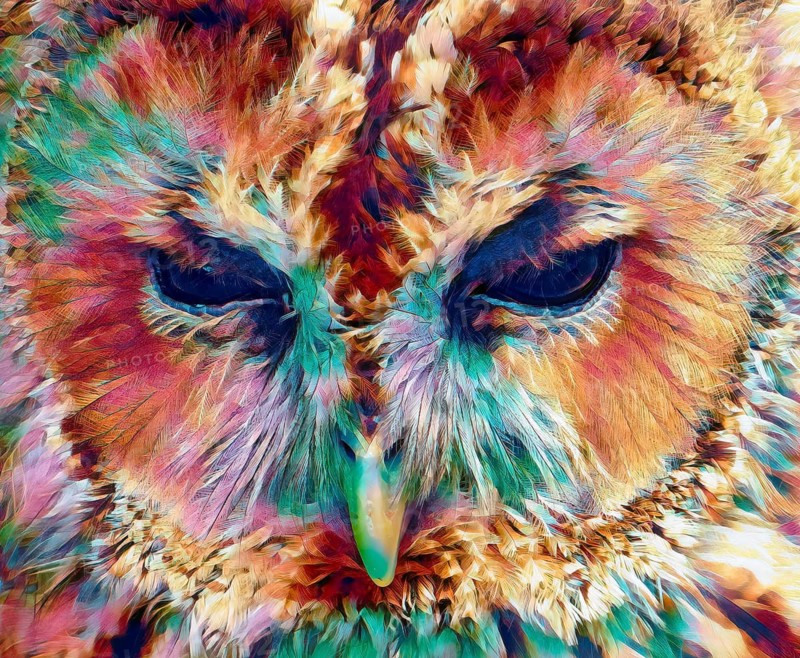 A great grey owl or great gray owl, Strix nebulosa, digitally edited
