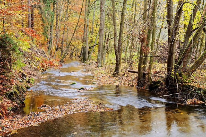 Kirnitzsch river course in autumn, Kirnitzschtal, Saxon Switzerland, Elbe Sandstone Mountains, Saxony, Germany