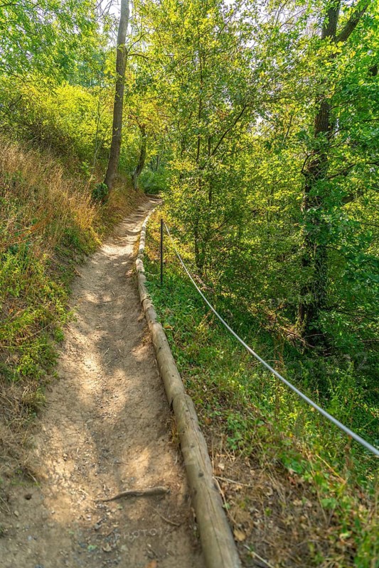 Hiking trail in NSG Hessigheimer Felsengärten, nature reserve, Hessigheim, Neckar Valley, rock gardens, dry stone walls, vineyards, steep slopes, landscape protection, natural monument, hiking area, viewpoint, hiking trail, hiking trail, hiking trail, hiking trail, hiking trail, nature trail, panorama, Swabian wine landscape, geology, nature experience, hiking trail, recreation, exercise, experience nature, trip, Baden-Württemberg, Germany
