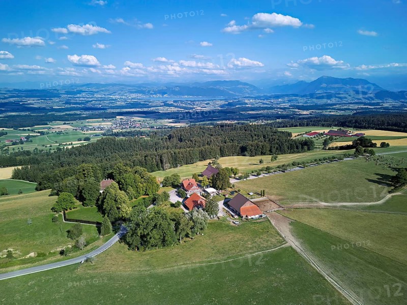 View of Horben viewpoint with Lake Zug and Rigi in the back, Beinwil Freiamt, Canton of Aargau, Switzerland