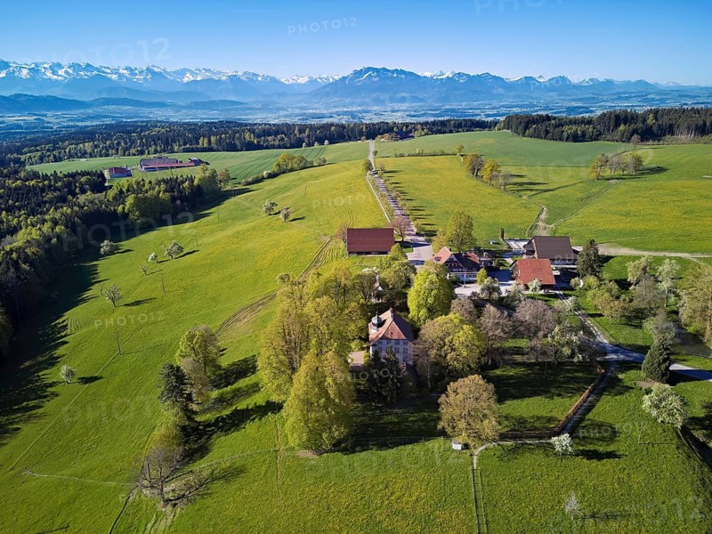 Horben viewpoint with castle and restaurant, snow-capped Alps and Mount Pilatus in the back, Beinwil, Freiamt, Aargau Canton, Switzerland