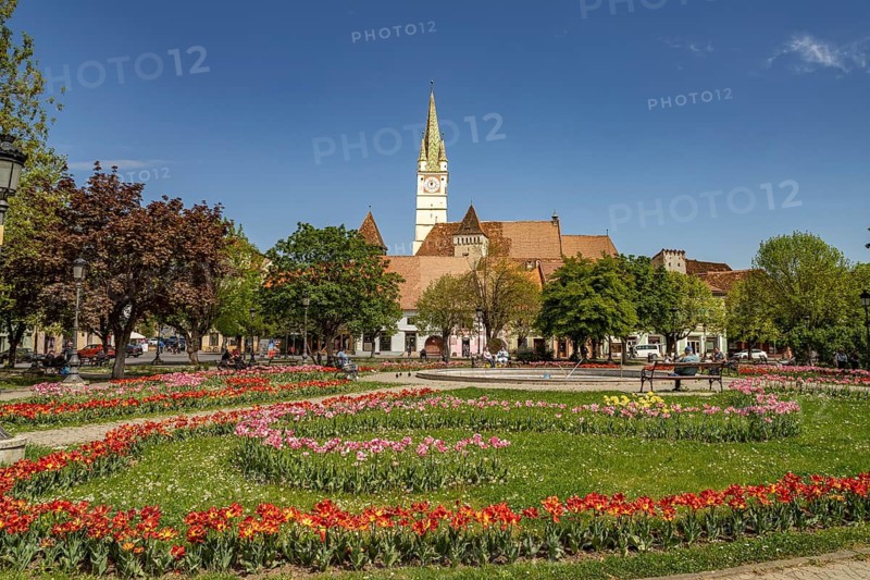 Spring flowers in Regele Ferdinand I Park and St. Margaret's Church in Medias or Medias, Transylvania, Romania