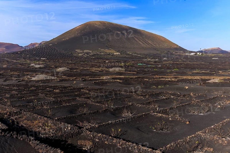 Lanzarote, Canary Islands, Spain, Europe, wine fields in La Geria, dark volcanic landscape with geometric lava structures under a blue sky