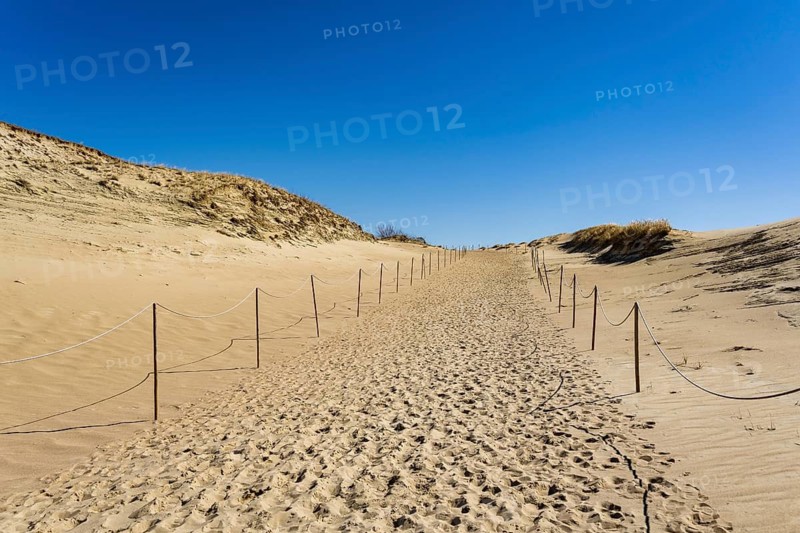 The Gray Dunes, or the Dead Dunes is sandy hills with a bit of green specks at the Lithuanian side of the Curonian Spit, A sandy path through desert-like dunes under a clear blue sky, with ropes guiding the way, Curonian Spit, Neringa, Lithuania