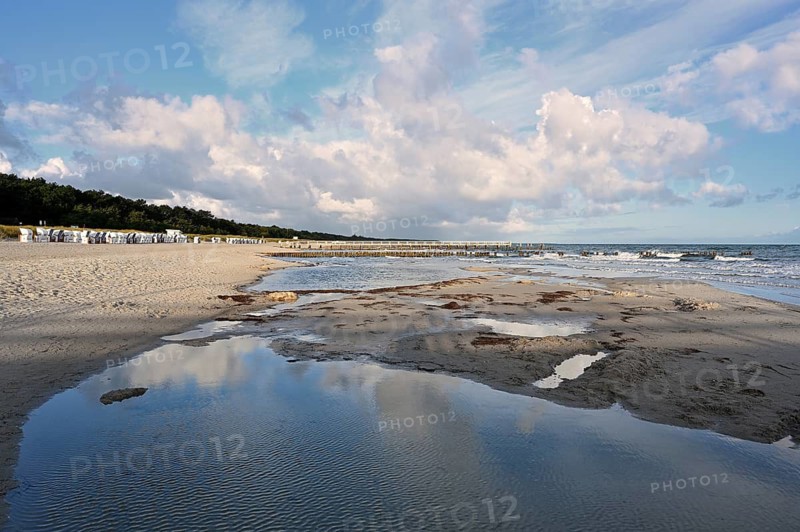 Beach with beach chairs, Zingst, Fischland-Darss-Zingst, Mecklenburg-Western Pomerania, Germany