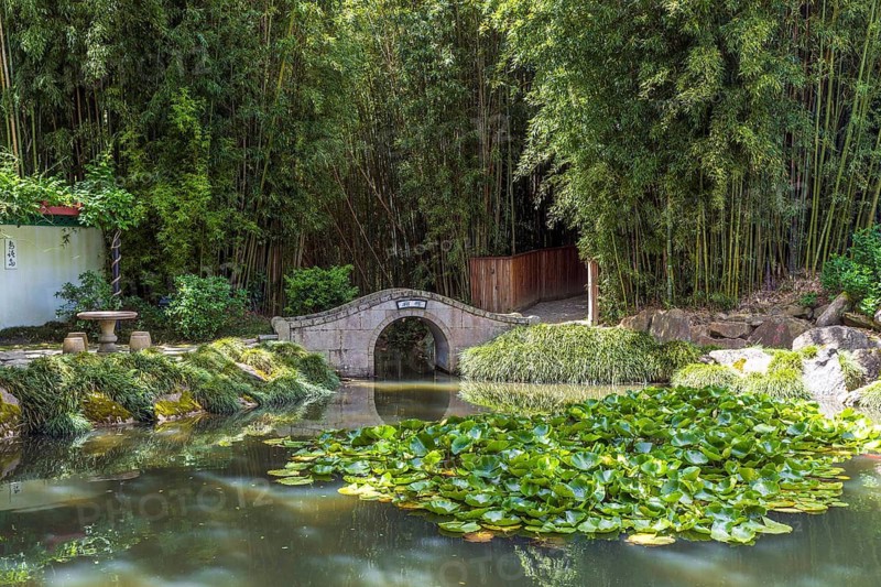 The Chinese Scholars' Garden, one of the enclosed gardens at Hamilton Gardens, Waikato, New Zealand