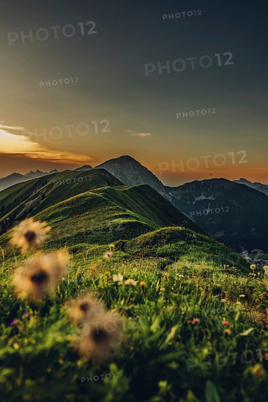 Hiking tour on the Hönig mountain in the Lechtal valley near Berwang in Tyrol, Austria