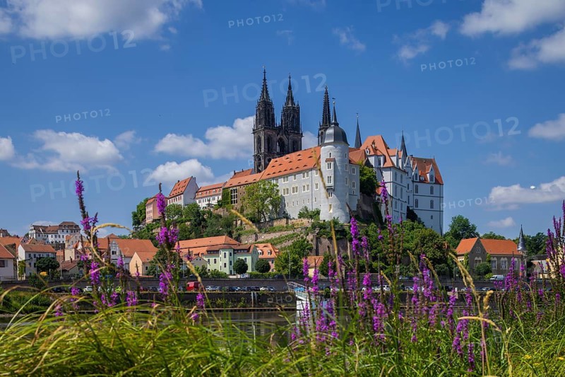 Burgberg with bishop's castle, Albrechtsburh and cathedral, Meissen, Saxony, Germany