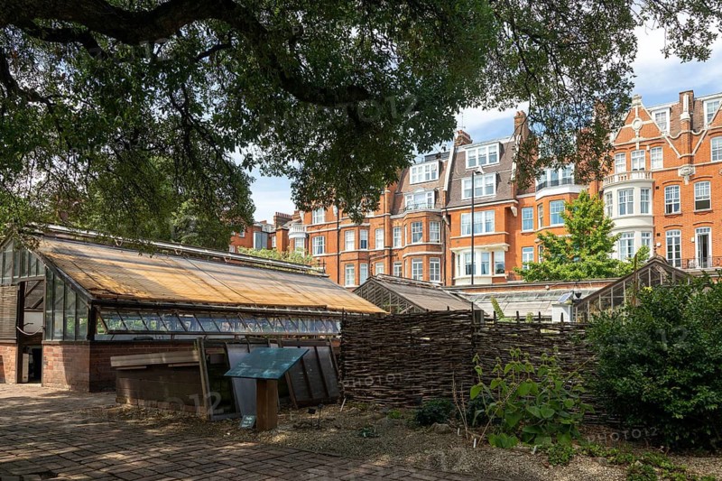 Greenhouses and view of nearby houses, Chelsea Physic Garden, London, England, UK
