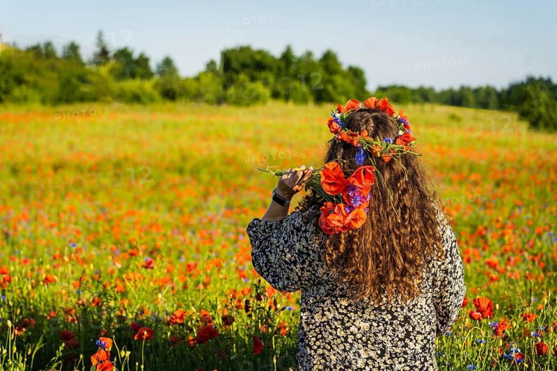 A long-haired curly woman plus size stands among a poppy meadow in a wreath of poppies (Papaver rhoeas) and cornflowers and holds a bunch of poppies