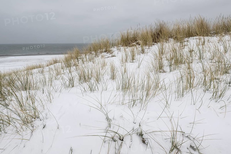 Snow-covered dunes on the North Sea, Langeoog, Lower Saxony, Germany