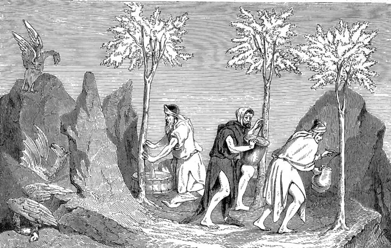 Livre des Merveilles, Book of Wonders, harvesting of incense in Arabia, which, according to ancient reports, was guarded by winged dragons. Three men harvest the resin by working and carving the tree trunks and collecting the liquid in buckets and jugs, authentic, high-resolution reproduction from a 19th-century model, exact date of presentation unknown, historical