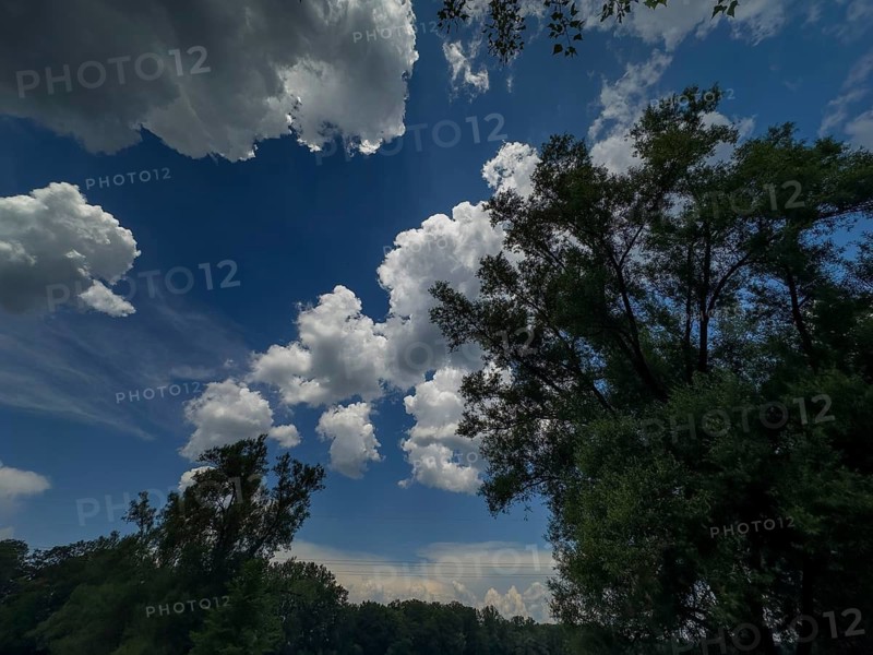 Accumulation of Cumulus cluster clouds, cumulus clouds, fair weather clouds against a blue sky