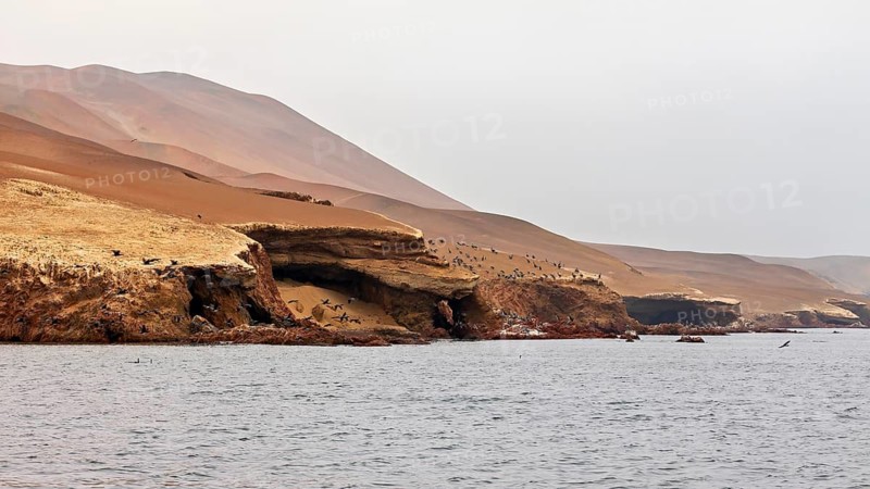 Rocky coast with birds in a quiet, dry landscape by the sea, The rocky coast with the desert near Paracas in Peru