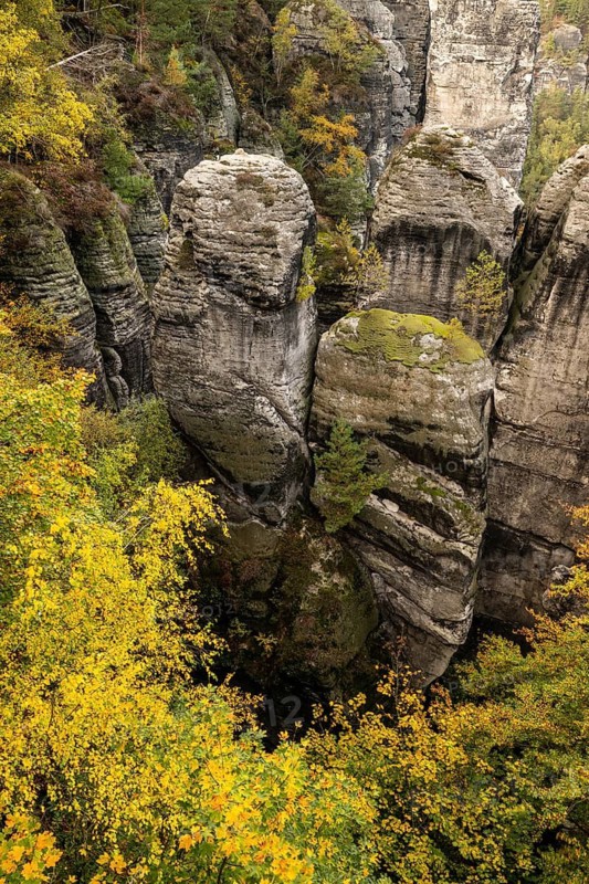 Autumn in the Elbe Sandstone Mountains in Saxon Switzerland, Lohmen, Saxony, Germany
