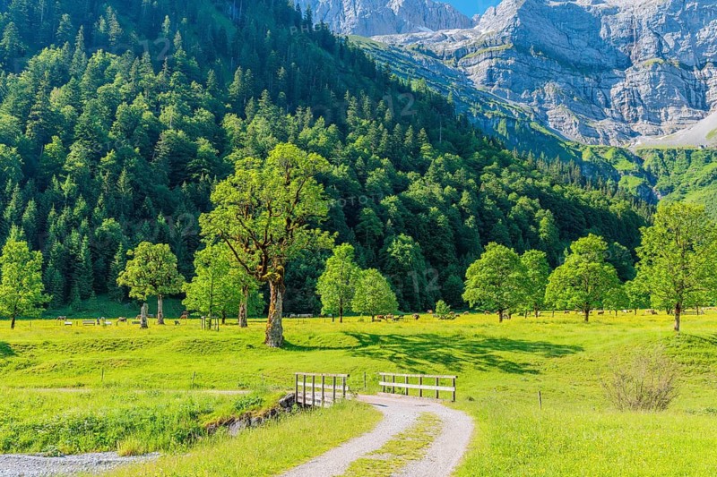 Hiking trail along Enger Grund Creek in the Grosser Ahornboden Nature Reserve on a sunny day. Eng valley, Tyrol, Karwendel, Austria