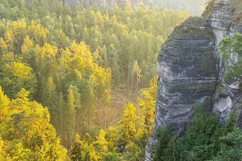 Sunrise on Basteifelsen, view of Wehlgrund, Rathen, Saxony, Germany