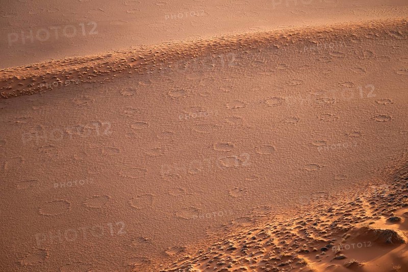 Sandy desert with Fairy Circles, circular areas, aerial view, Namib Desert, Namib Naukluft Park, Namibia