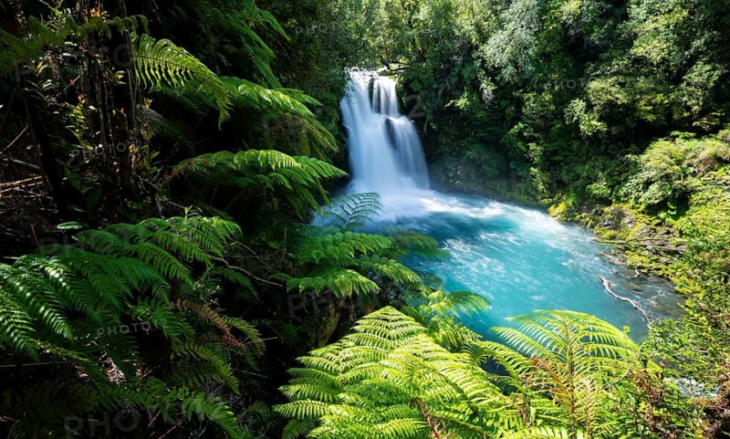 Cascadas Vejar waterfall on the turquoise blue Rio Negro river with fern, long exposure, Ruta de los Parques, Hornopirén, Hualaihué, Los Lagos, Patagonia Verde, Chile