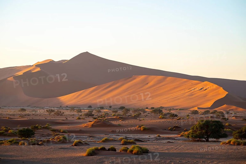 Barren vegetation between red-yellow Namib sand dunes, Namib Desert, Namib-Naukluft National Park, Namibia