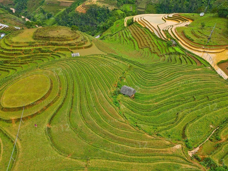 Aerial view of rice terraces setting new fresh green rice, new fresh green rice seedlings at Mù Cang Ch?i, Mu Cang Chai District, Lào Cai Province, North Vietnam, Vietnam