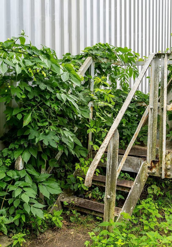Stairway to the historic cable car station in Rüdersdorf Museum Park near Berlin, Brandenburg, Germany