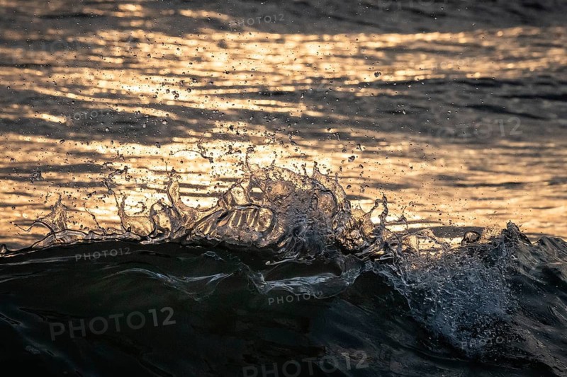 Detail, splashing seawater, breaking wave in evening light, Houvig Beach, North Sea, Denmark